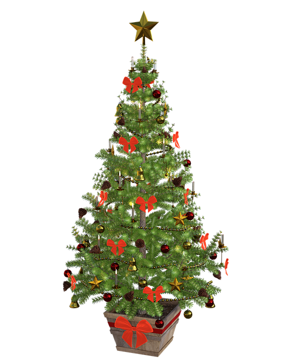 christmas tree 1891350 960 7201
